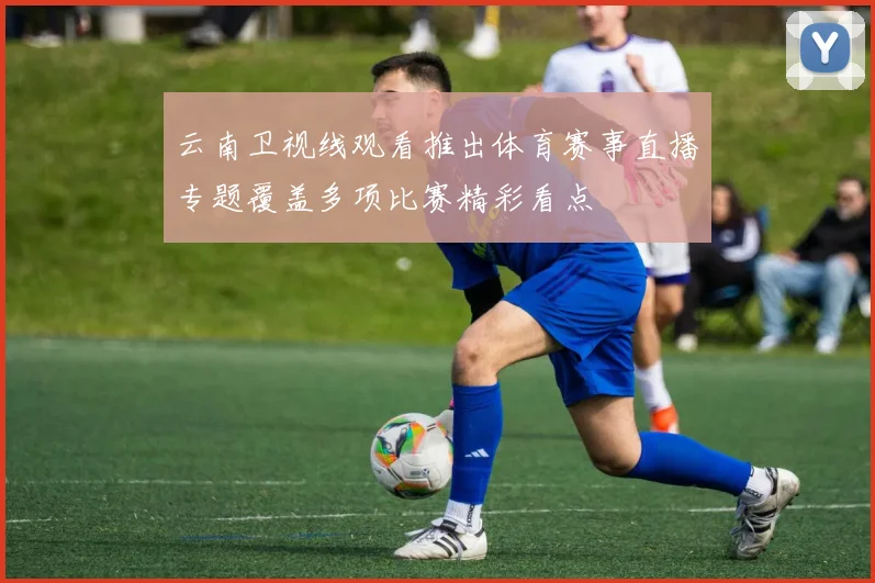 云南卫视线观看推出体育赛事直播专题覆盖多项比赛精彩看点