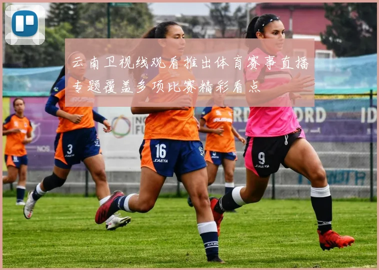 云南卫视线观看推出体育赛事直播专题覆盖多项比赛精彩看点