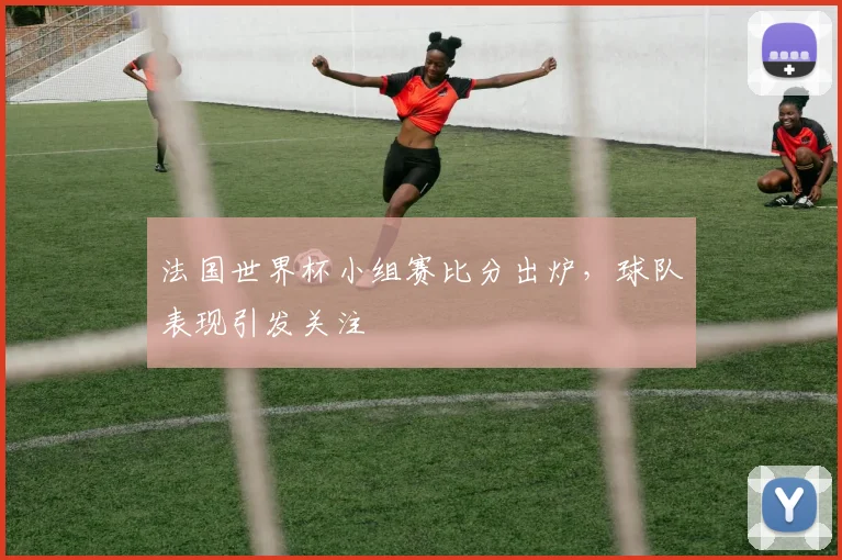 法国世界杯小组赛比分出炉,球队表现引发关注