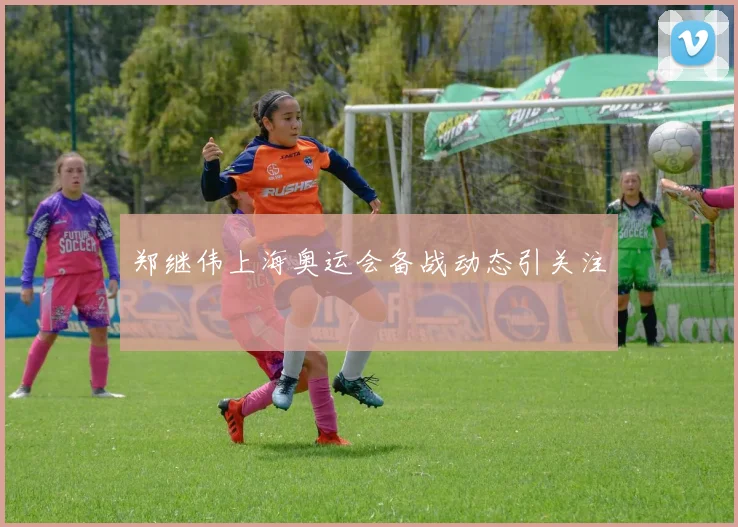 郑继伟上海奥运会备战动态引关注
