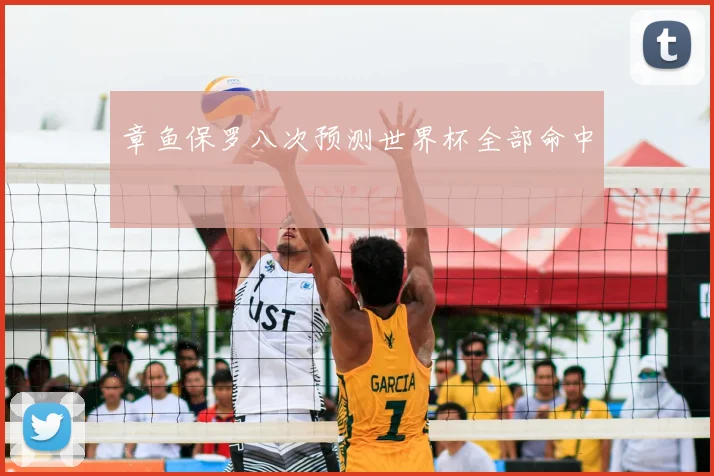 章鱼保罗八次预测世界杯全部命中