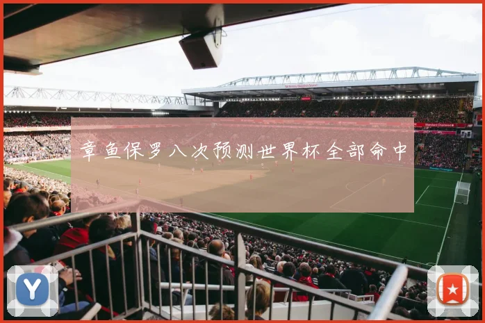 章鱼保罗八次预测世界杯全部命中