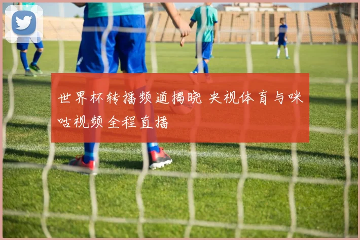世界杯转播频道揭晓 央视体育与咪咕视频全程直播